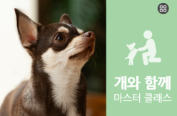 강좌
